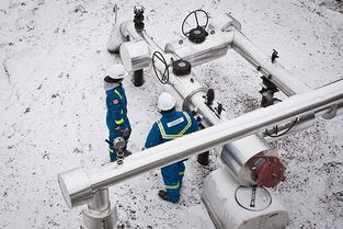 構(gòu)建專(zhuān)業(yè)品牌形象 Allnorth工程技術(shù)服務(wù)咨詢(xún)公司的全方位視覺(jué)與數(shù)字體驗(yàn)設(shè)計(jì)