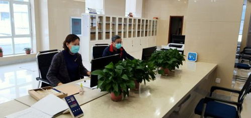 通化市檔案館 疫情防控與檔案利用服務兩不誤，檔案整理服務賦能便民